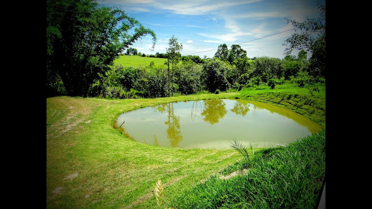 Cite Três Motivos Que Justifiquem A Preservação De áreas Naturais