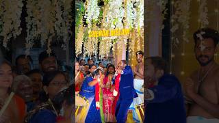Sai Event | Food Feast| SA Wedding Hall Vellore #vellore#chennai#southindianfood #taste#catering
