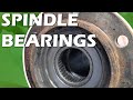 Dana 44 Spindle Bearings and Seals (True Spirit #20)