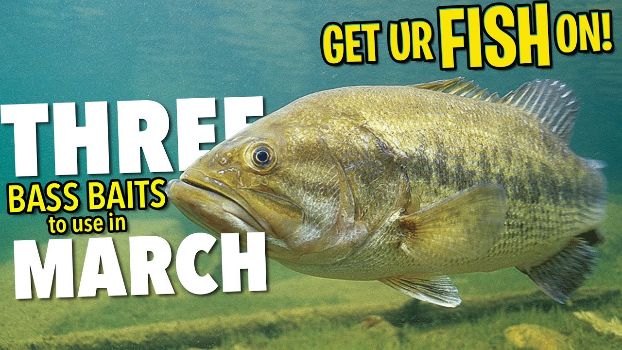Top 3 Baits for March Bass Fishing #bassfishing 