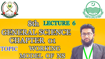 8th class | General Science | Working Model of Nervous System