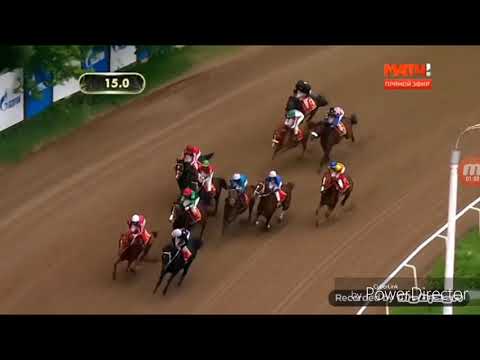Клип конный спорт ( делаемфлекс)