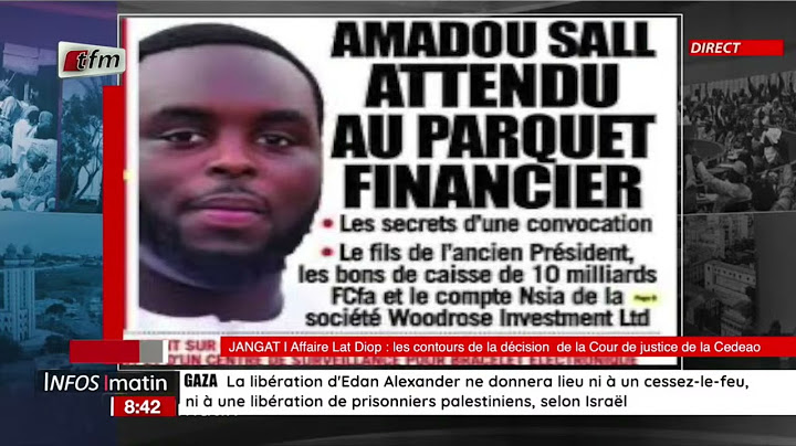 JANGÀT Daouda MINE | Affaire Lat Diop : les contours de la décision  de la Cour de justice de la Ced