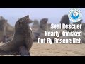 Seal Rescuer Nearly gets Concussed During Rescue