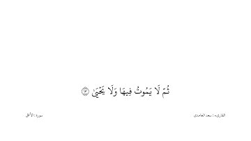 سعد الغامدى القران كریم خلفیه‌ بيضاء (سورة الاعلى)