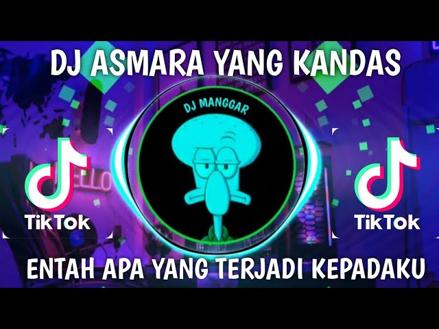 DJ ASMARA YANG KANDAS | ENTAH APA YANG TERJADI KEPADAKU class=