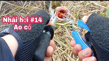 Lure Cá Lóc Bằng Nhái Hơi P14. Câu Cá Lóc .Nhái Hơi Thái Lan Đồ Câu Đại Ngáo DN84| Đại Ngáo Vlog