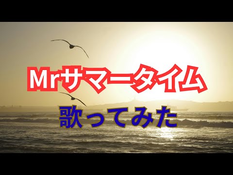 Mrサマータイム/歌ってみた/サーカス