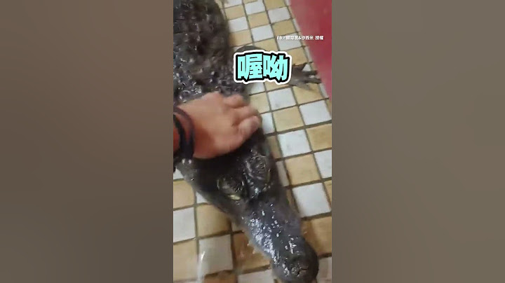 【鱷魚玩排水孔玩到淹水】 一邊聽媽訓話一邊故意吐泡泡 超皮的XD #Shorts