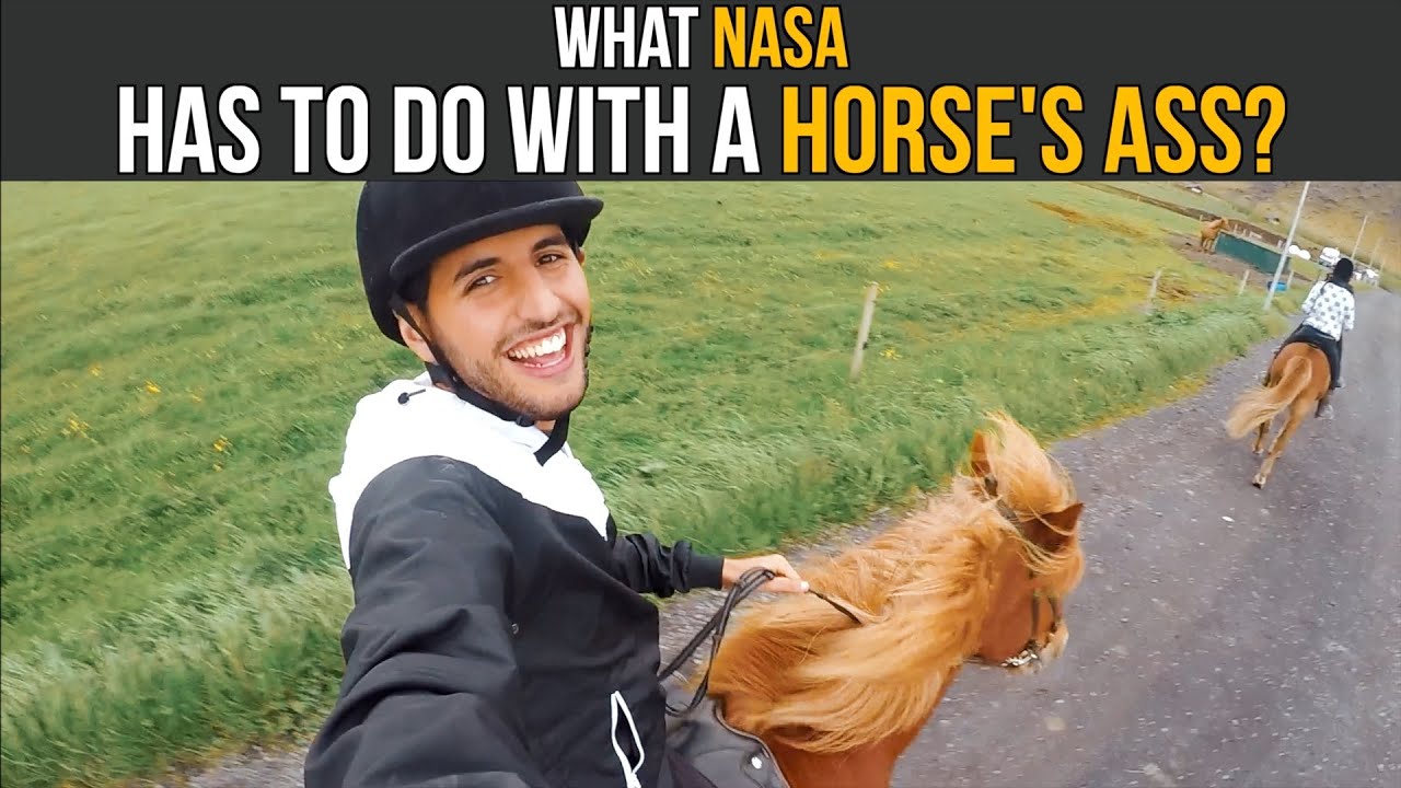 What NASA Has To Do With A Horse’s Ass?