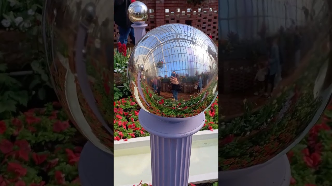 Phipps Spring Flower Show 2024 