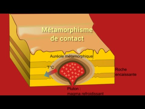 Vidéo: Où trouve-t-on le métamorphisme hydrothermal ?