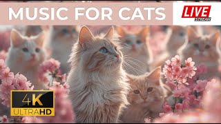 Cats Music Stress Relief & Anxiety Relief ♬ Deep Soothing Music for Anxious, ill and Stressed Cats!