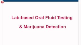 Famous How Drug Free Is Your Workplace If You're Not Random Testing Wealth