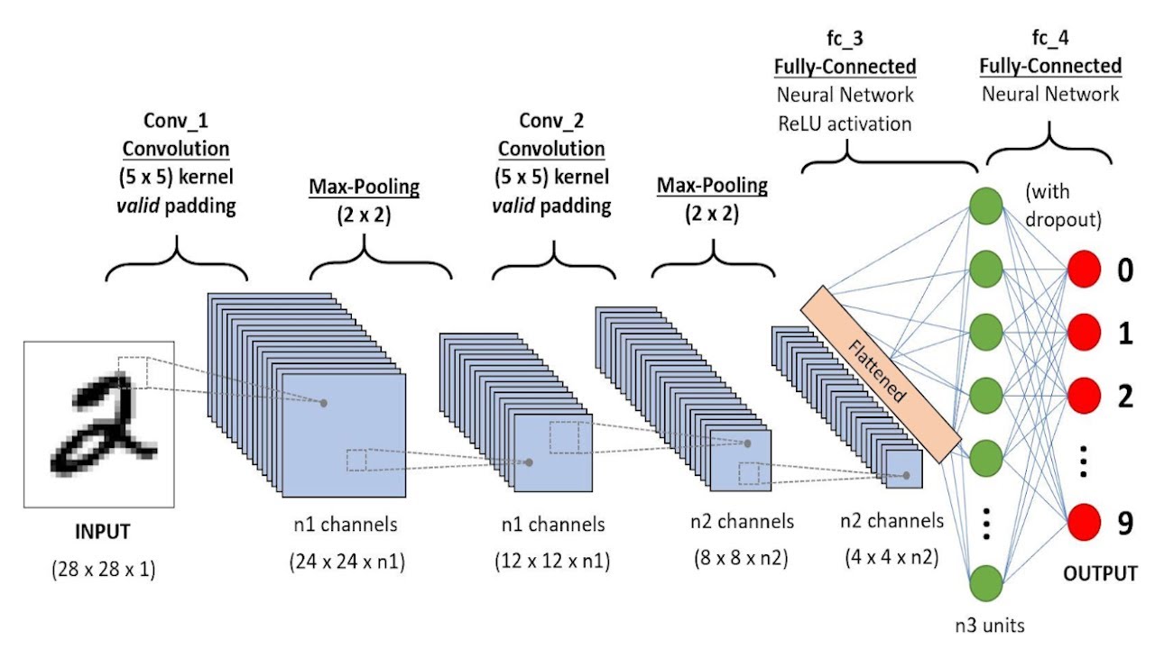Understanding Convolutional Neural Networks (CNNs) - YouTube