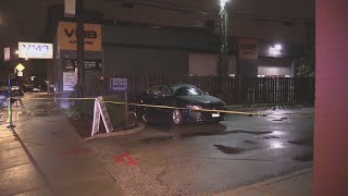 2 fatally shot in Avondale