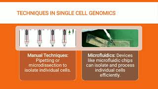 Single Cell Genomics