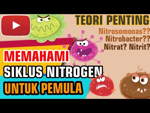 Video: Apakah itu sisa nitrogen?