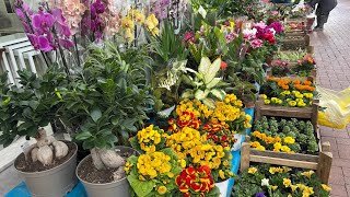 12 Mart 2026 Aydın Nazilli Uzun Bebek Ve Herşey Zera Halı Ve Yörem Mobilyanın Önünde Yiz0506111 4721