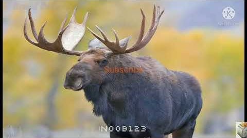 nether update encore music | Video 28 (no copyright)