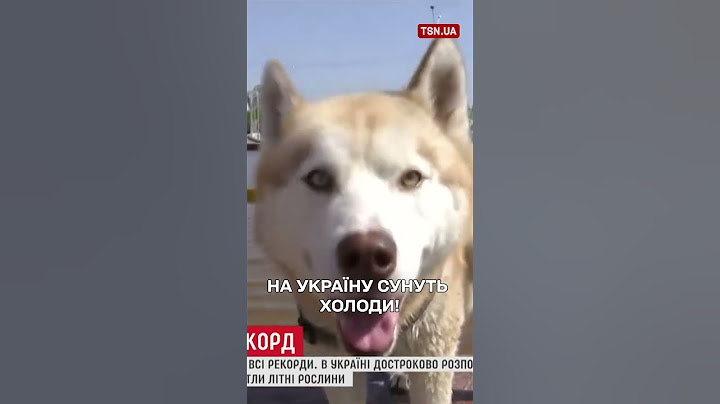 ЗНОВУ ПОХОЛОДАННЯ! ШОК-ПРОГНОЗ ПОГОДИ!