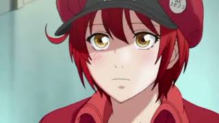 Where have you been - Cells At Work edit (Eri x Neu)