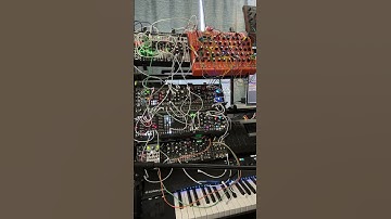 Pulsar23 for the win! #eurorack #mutableinstruments #noiseengineering #pulsar23 #qpas