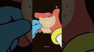 Never Ending Cookie Magic Trick!!😱Jax & Pomni Funny Tutorial Animation 12 #tricks #magic #tutorial