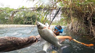 INCREÍBLE PESCA DE BOCACHICOS CON ARPON EN UN CAÑO SUPER PANDITO