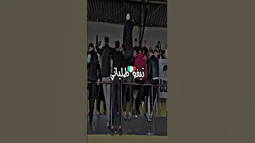انصار مولودية الجزائر 