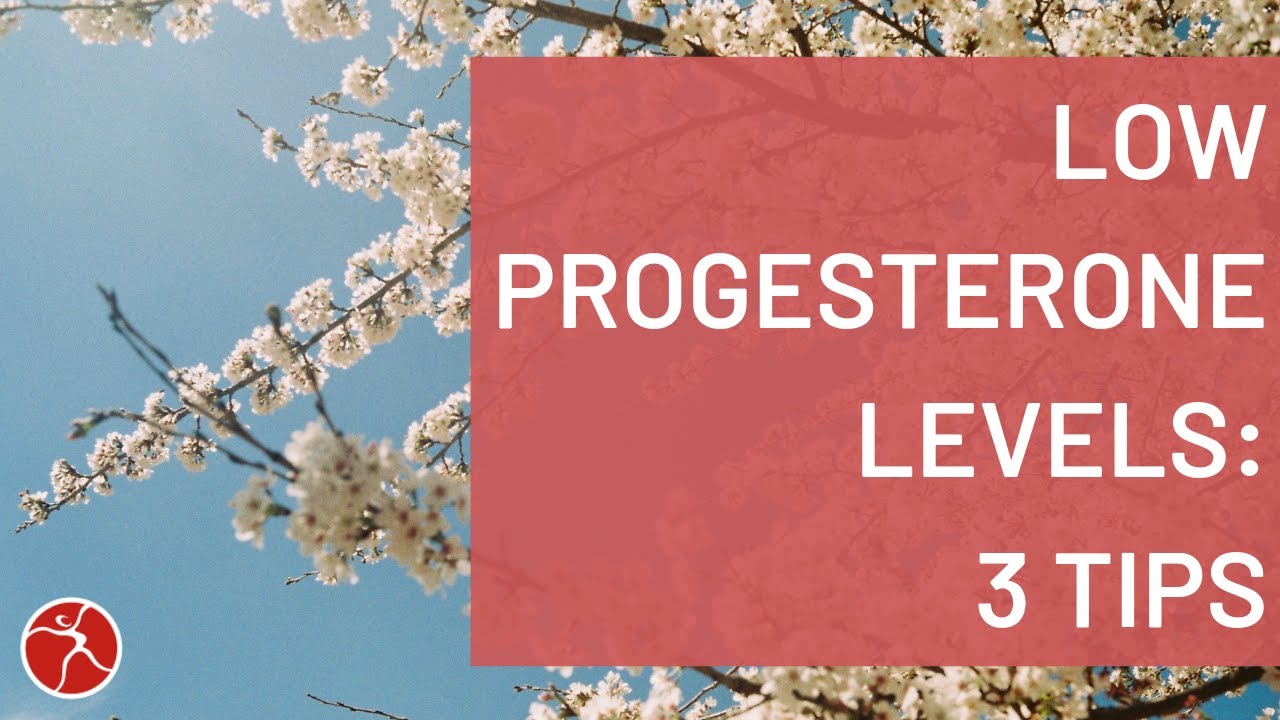 Low Progesterone Levels I 3 Tips to Increase Progesterone - YouTube