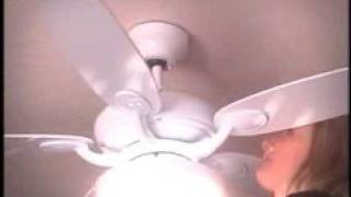 Safety Quick Light Installation Video