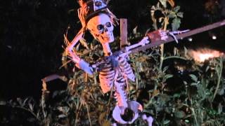 Singing Pumpkins 2012 -  Intermission - This Is Halloween