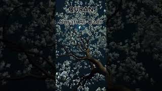 Surah Al Qadr Urdu translation |#ytshorts #quran#islamic #muslim #learnquran #islam #deen #loveislam