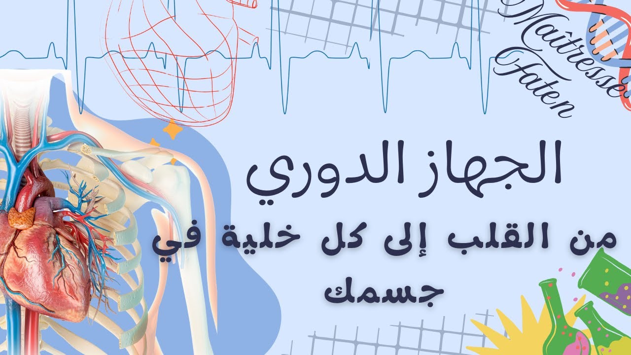 الجهاز الدوري ( جهاز دوران الدم )