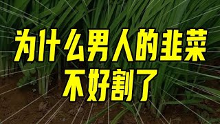 壯陽內褲賣不動了？男人的韭菜不好割了嗎？ 【沈帥波】