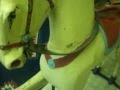 Antique wooden carousel horse FOR SALE! Antique wooden carousel horse FOR SALE!