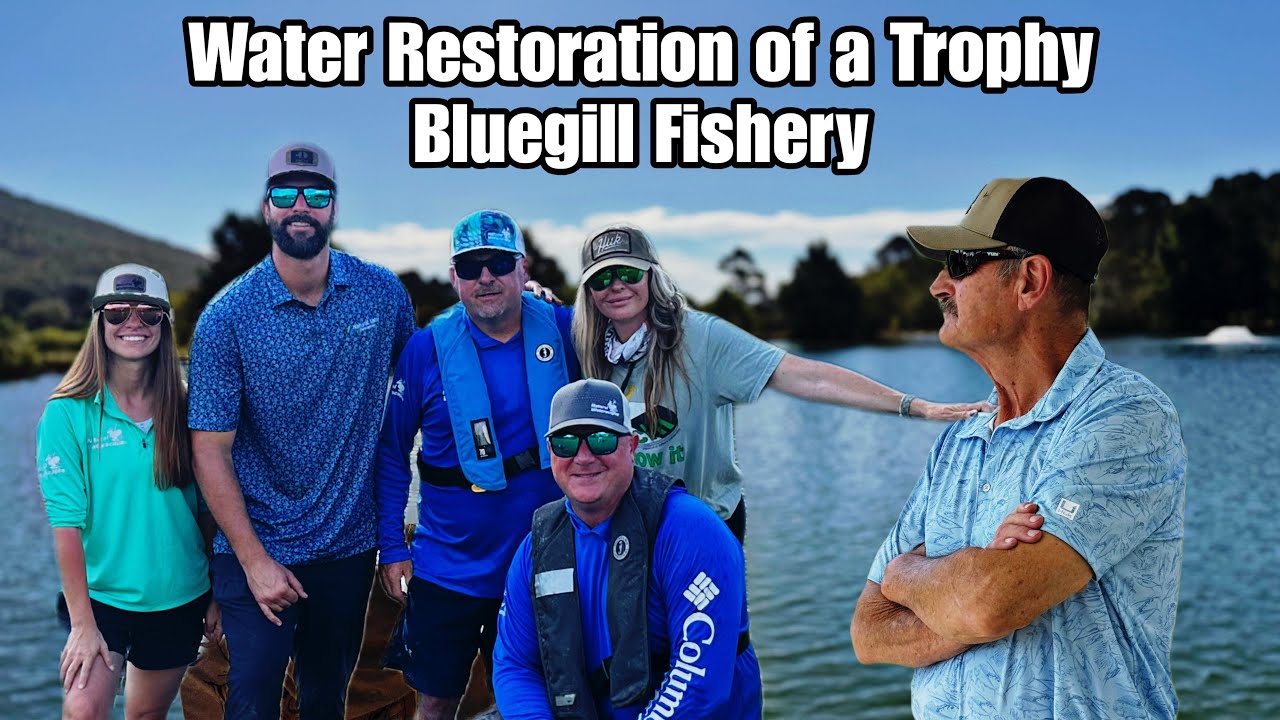 Магия восстановления воды: спасет ли Metafloc промысел трофейных синежаберных рыб?