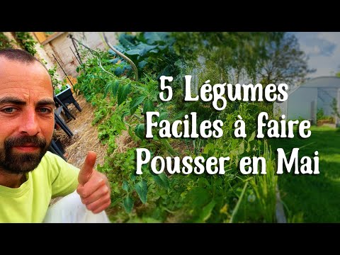 Vidéo: Quelles Fleurs Plantons-nous En Mai ?