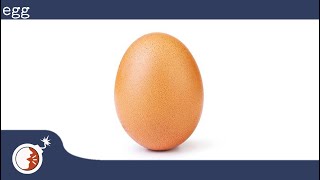KTaNE - How to - egg