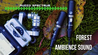 Forest Ambience Sound | ZOOM H5 - LOM USI PRO mic | Audio Spectrum | #ASMR