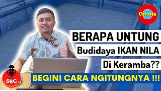 Cara Menghitung KEUNTUNGAN Budidaya IKAN NILA Di Keramba Jaring Apung !!! Pemula Perlu Tahu ! SBC #2