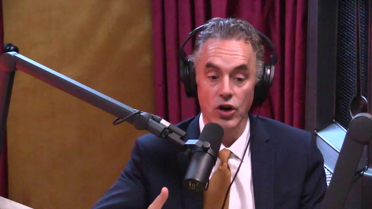 Joe Rogan and Jordan Peterson Discuss Personal Sovereignty, Seeking out Struggle, and Having Vision