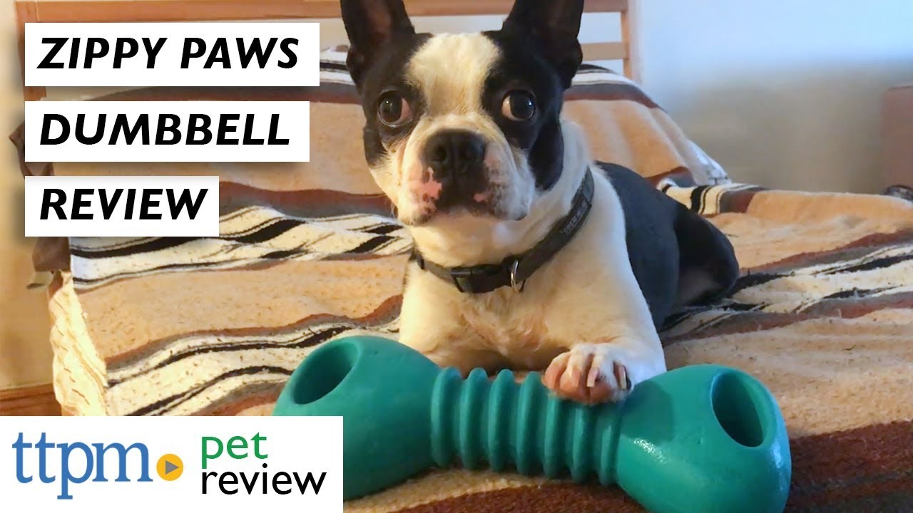 ZippyTuff Squeaker Dumbbell from ZippyPaws