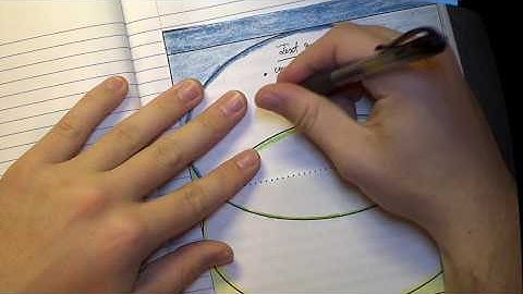 Compare & Contrast: Interactive Notebook Activity (IWN L19)