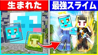 スライムに生まれた子供たちが最強スライムになるまで...【転スラ】【まいくら/マインクラフト】