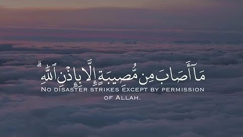 من سورة التغابن بصوت القارئ رعد الكردي | حالات واتساب دينية