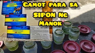 PAANO GAMITIN ANG TRIMAX OR COTRIMOXAZOLE | GAMOT NG MANOK PARA SA SIPON
