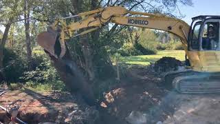 Hamilton Fish Passage Project