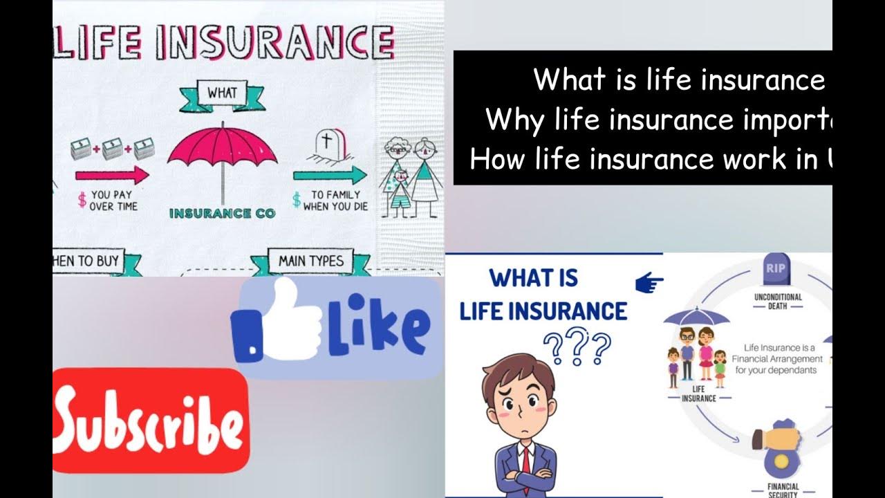 What is Life insurance in USA Why Life insurance is important How